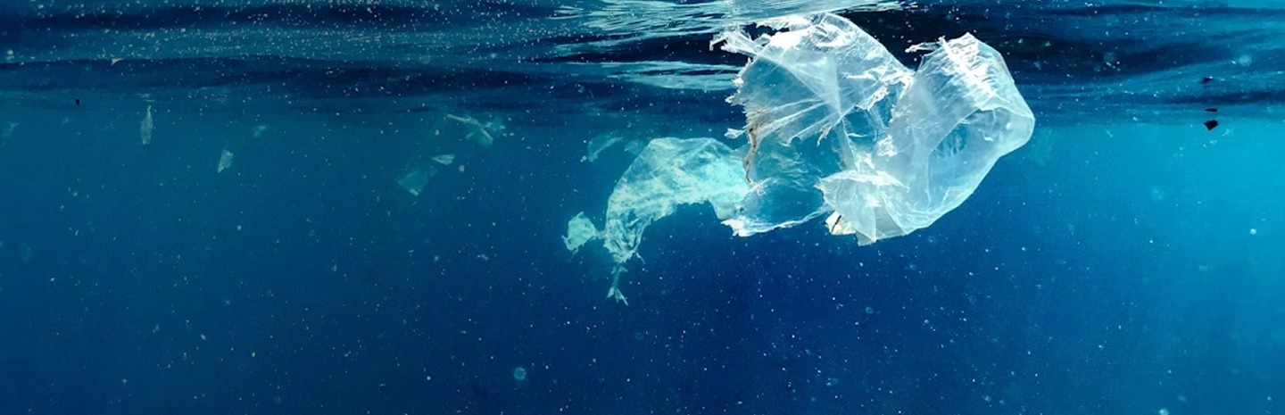 Ocean Recovery